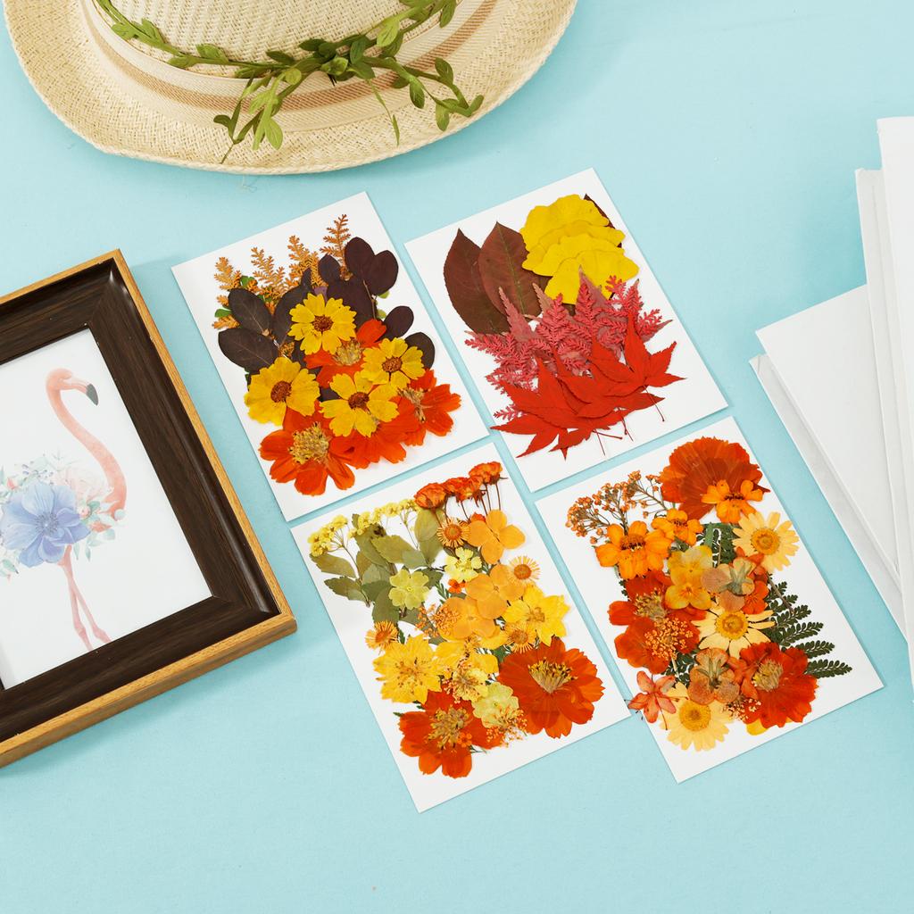Dried Flower Making Versatile Dried Autumn Flowers Leaf Beautiful Dried Pressed Flowers for DIY Resin Mold Handicraft Enthusiast