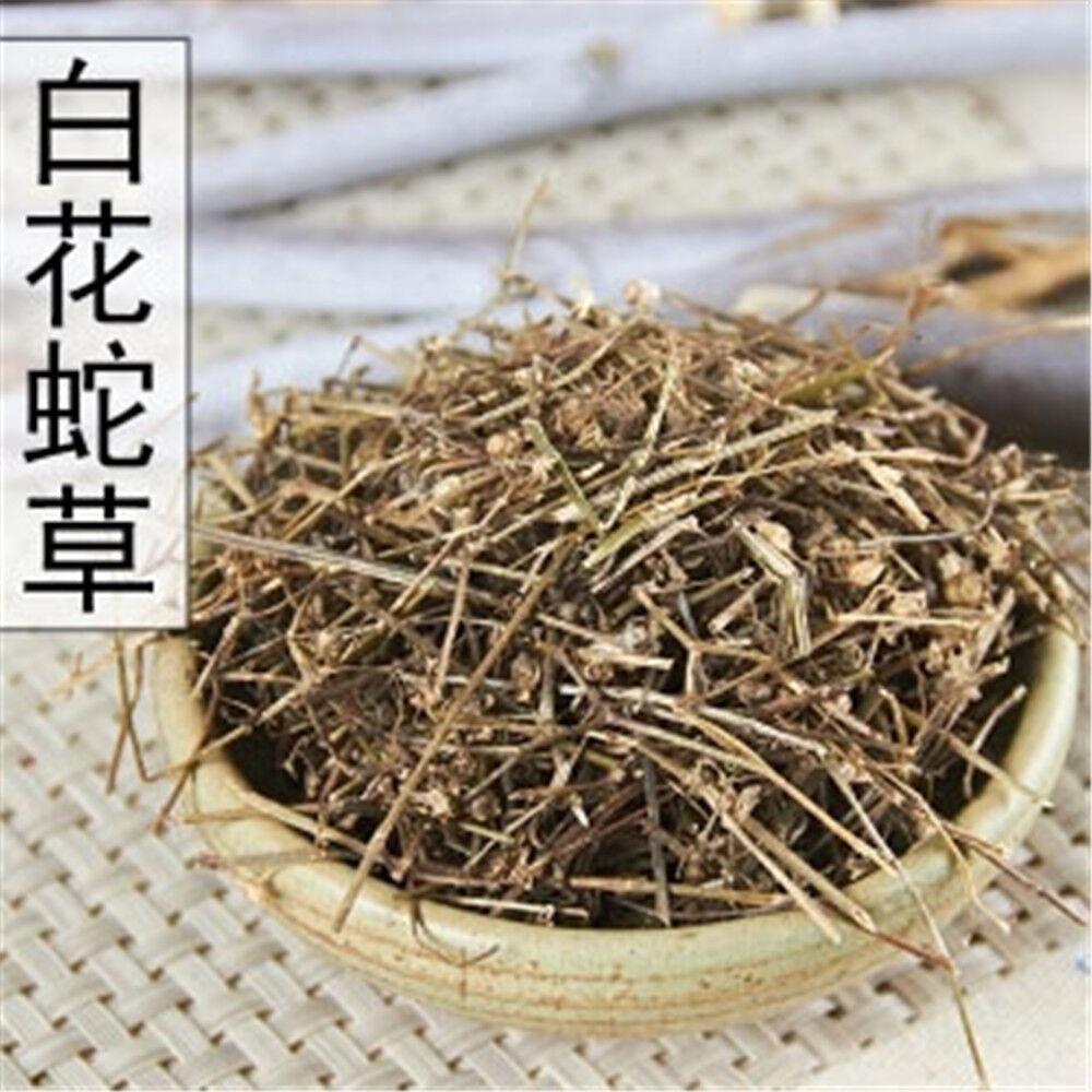 100% Organic Dried Hedyotis Diffusa White Herbal Tea Loose Leaf