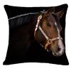 Creative Pillow Fashion Cartoon Animal Horse Home Decor Cotton Linen Cushion