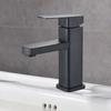 Steel Faucet Basin Faucet Black Plastic Handle Rust