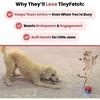 Tiny Interactive Cat Toys Ball Automatic Moving Cat Toys Ball Interactive Rolling Dog