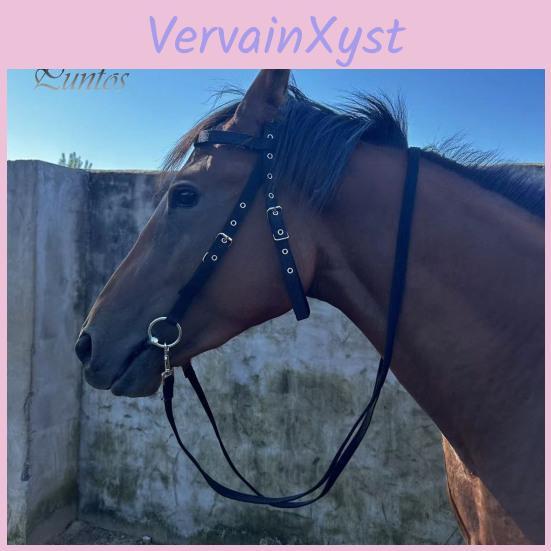 Chin Halter Horse Adjustable Horse Halter Plush Padded Horse Training Equipment Equestrian Accessory