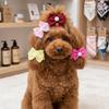 20Pcs Lace Trim Pet Hair Tie Bow Shape Pet Lace Headwear Dog Hair Flower  Festival Styling