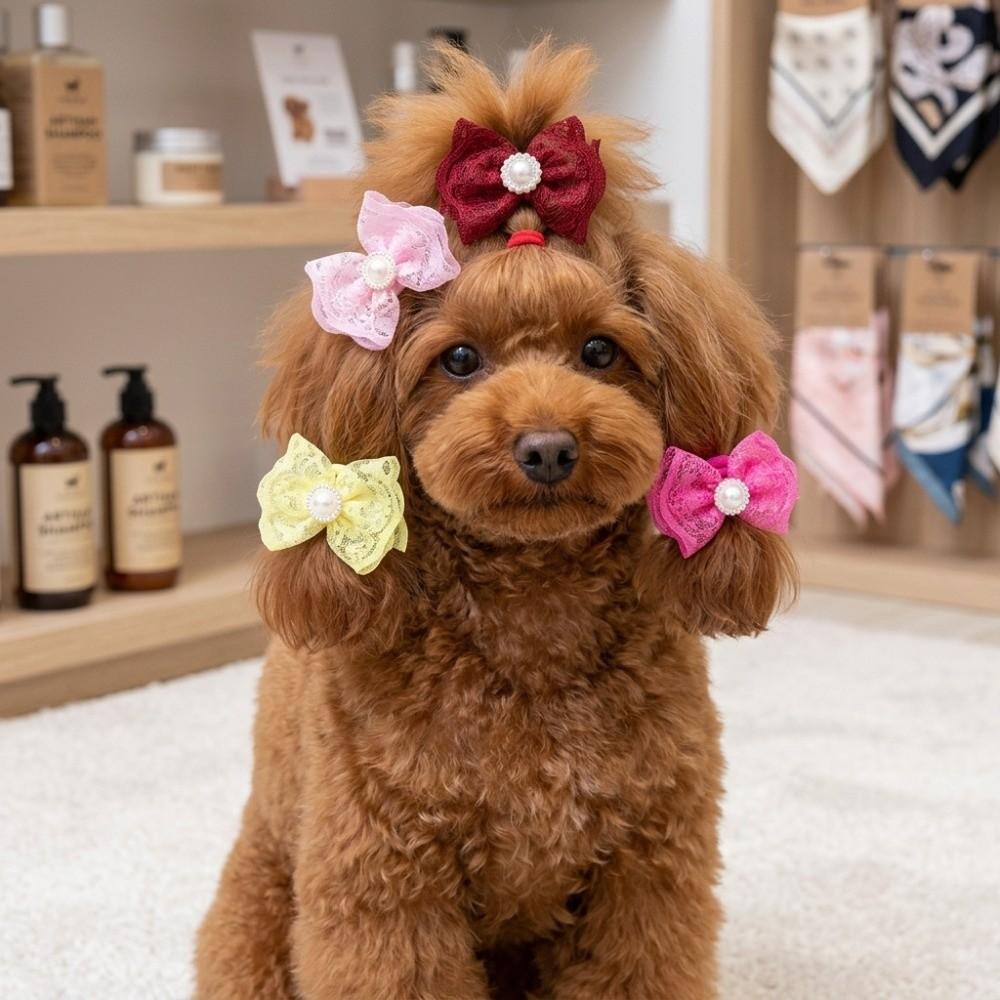 20Pcs Lace Trim Pet Hair Tie Bow Shape Pet Lace Headwear Dog Hair Flower Festival Styling