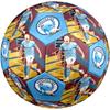 Haaland Trophy Celebration Size 5 Soccer Ball Machinestitched Indooroutdoor Training And Matches Soccer Accessory