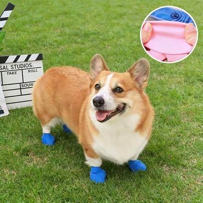 Giyim ve ayakkabı – Köpek ayakkabıları