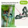 10/50pcs Horticultural Butterfly Orchid Garden Set Tomato Plant Clip Plastic Fixing Clip Horticultural Tool Clip