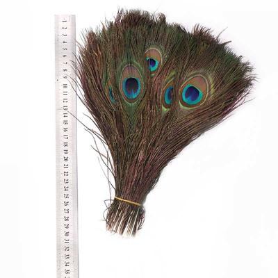 10Pcs/lot Peacock Feathers Length 25-30cm10-12 Natural Peacock Feathers for Crafts Peacock Decorations for Home Hotel Decoration