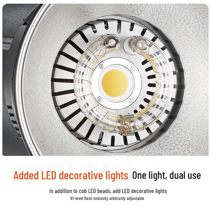 Godox DP800IIIV Studio Flash Kit with LED Modeling Light