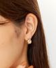 K10 Hollow Flat Shell Hoop Stud Earrings Yellow Gold 00 [Kokoshnik] (100)
