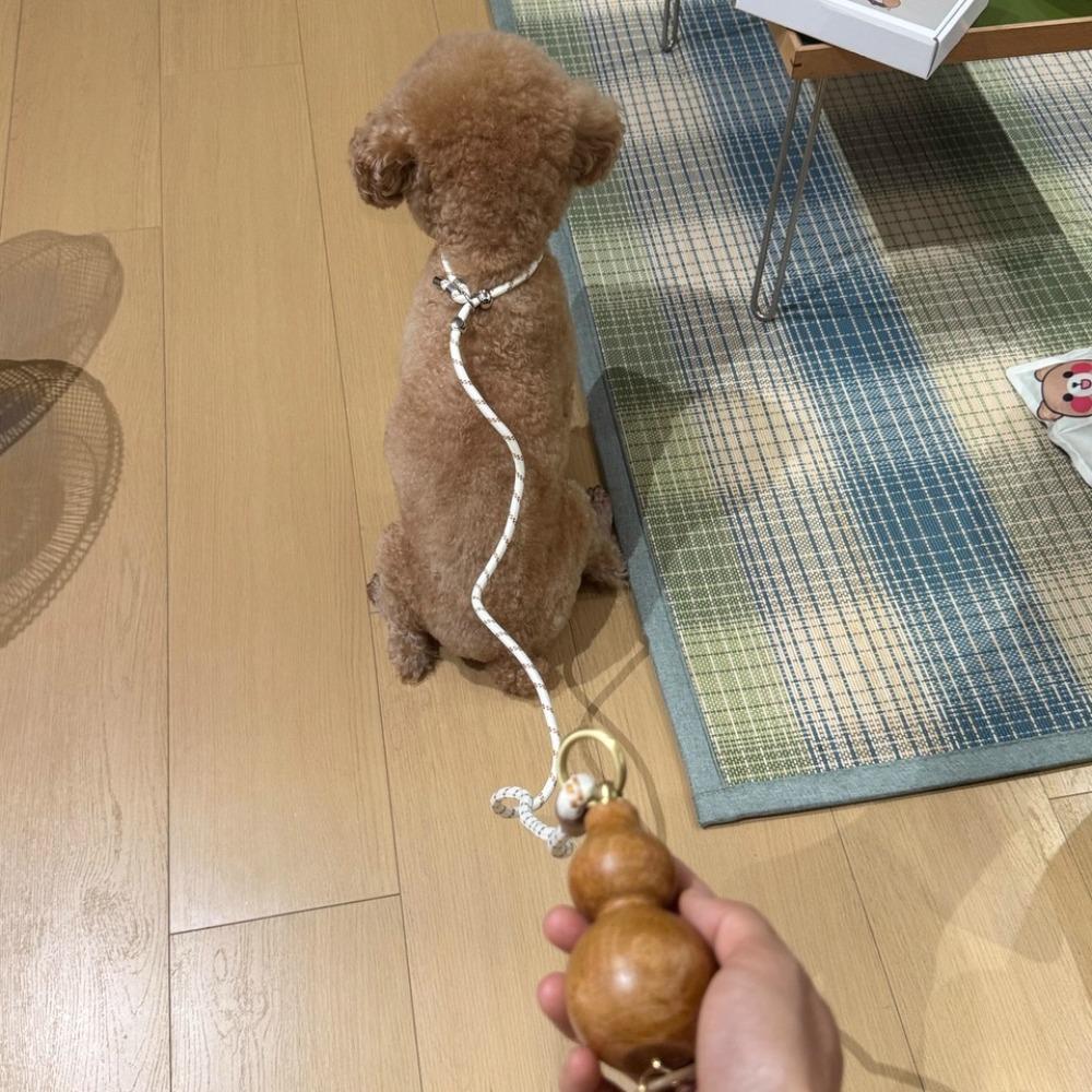 Gourd Handle Dog Leash 1.5m/1.8m Portable Anti-Slip Dog Training P-Cord Rope Explosion-Proof for Small/Medium Dogs Pet Products