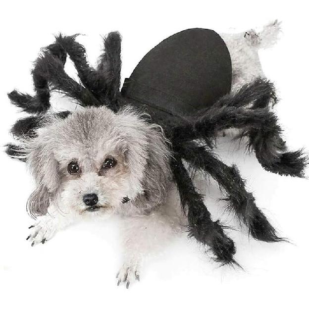 Dog Cat Spider Costume for Halloween Party Decoration, Halloween Cosplay Costumes for Small Dogs and Cat, Puppy Dress Up Accessories