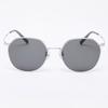Aloeyewear [Air Titanium] AL2501 1111G Air Titanium Panto Silver Sunglasses