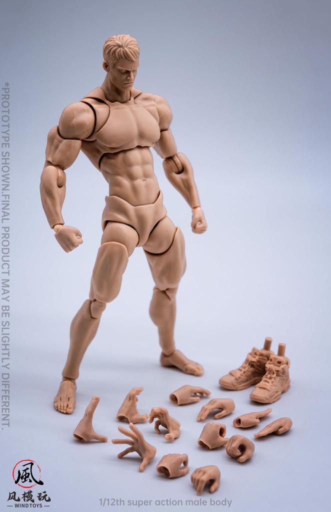 WIND TOYS 1/12 Scale PVC & POM Super Articulated Figure, Male Body, Normal