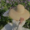 202602-GIU-hh5075A INS CHIC ESTATE paglia Hepburn Elegante AMPIO BORDO signora tempo libero sole CAPPELLO A SECCHIO donna vacanza spiaggia cappello tempo libero