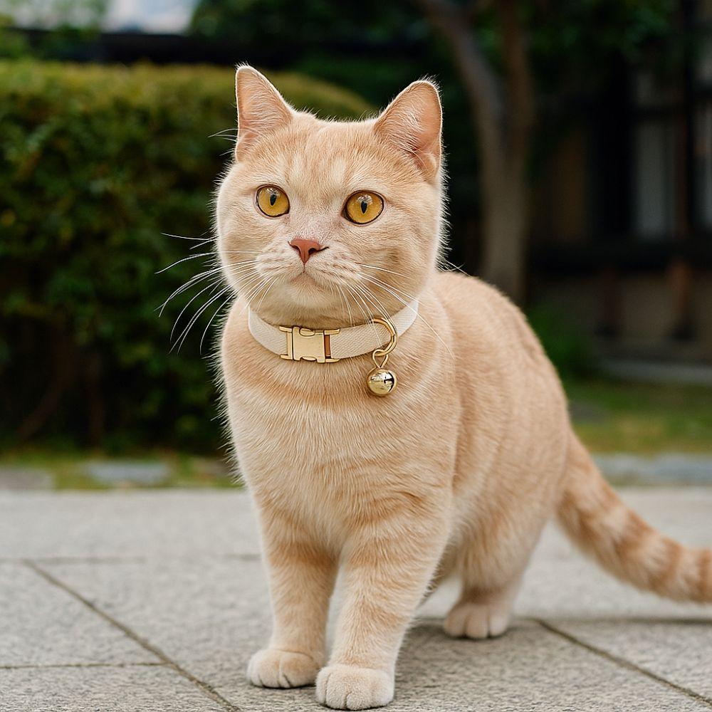 Metal Buckle Cat Necklace Adjustable Pet Dog Collar Practical Pet ID Name Tag  Pet Show