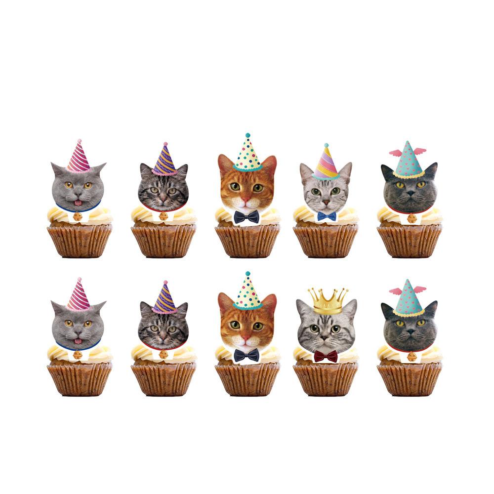 Katzen Partyzubehör Einweggeschirr Pappteller Pappbecher Papierservietten Mädchen Geburtstagsparty Dekoration