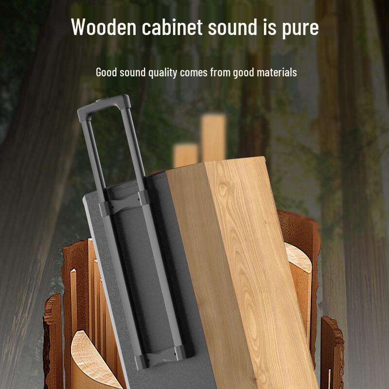 HuiDu DH-12 Portable Bluetooth Karaoke Trolley Speaker