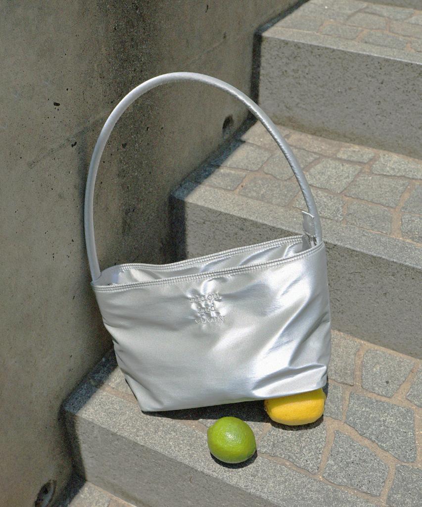 Mucu And Ebony Near Flat Bag _ Silver