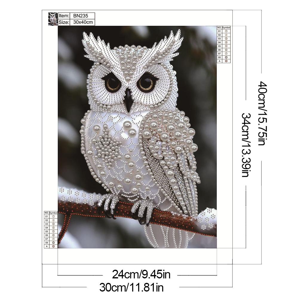 Sieraden Dier Speciaal Vormgegeven 5D DIY Gedeeltelijke Boor Diamant Schilderen Kits voor Volwassenen Huisdecoratie Diamant Kunst Kit 11.81x15.75inch