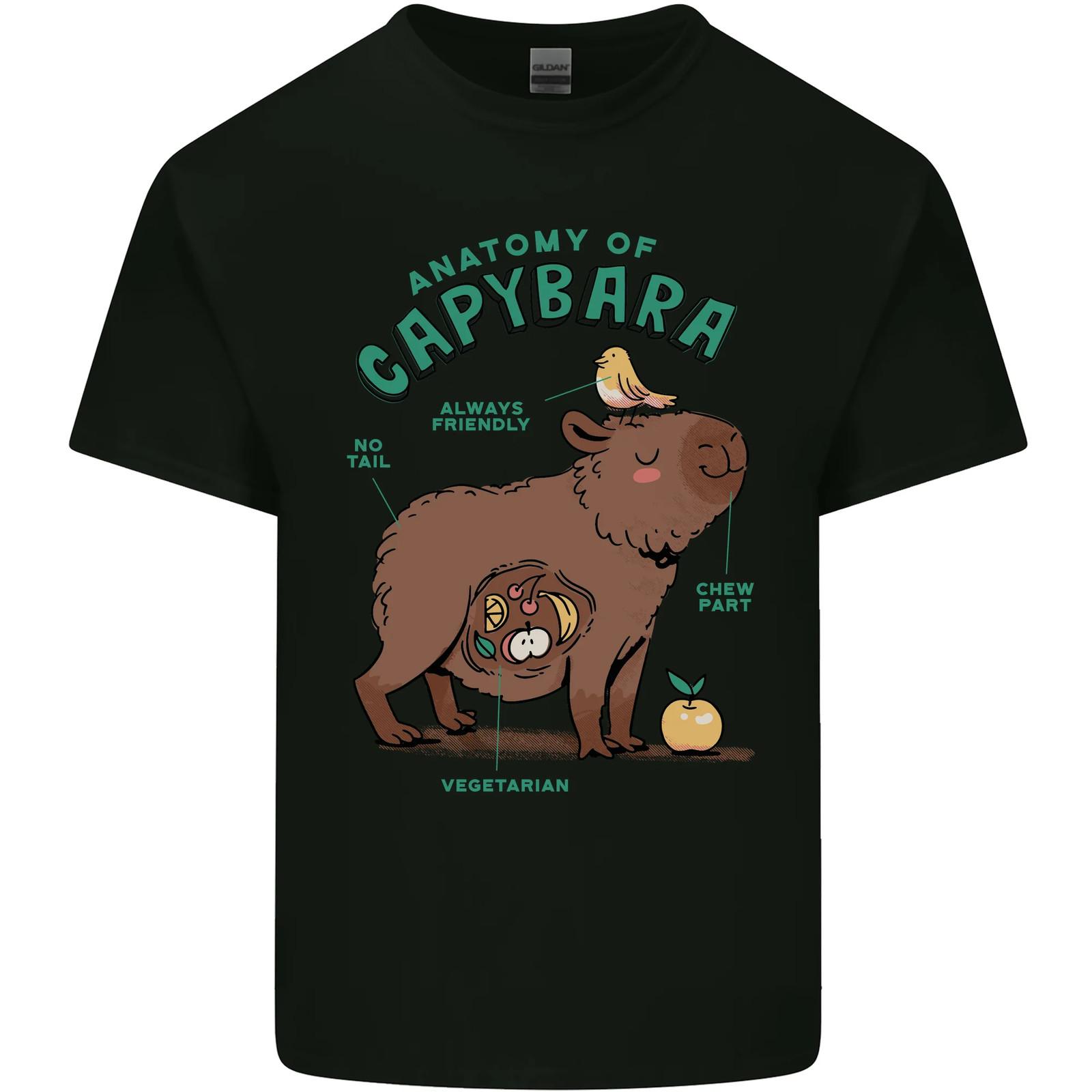 Anatomy of a Capybara Funny Mens Cotton T-Shirt Tee Top S разноцветный