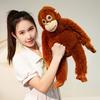 1Pc 60cm Popular Monkey Plush Toys Fluffy Monkey Dolls Hangable Gorilla Plushie Toy Funny Monkey Backpack Kids Birthday Gift