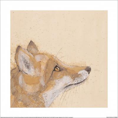 Bev Davies Curious Fox Print