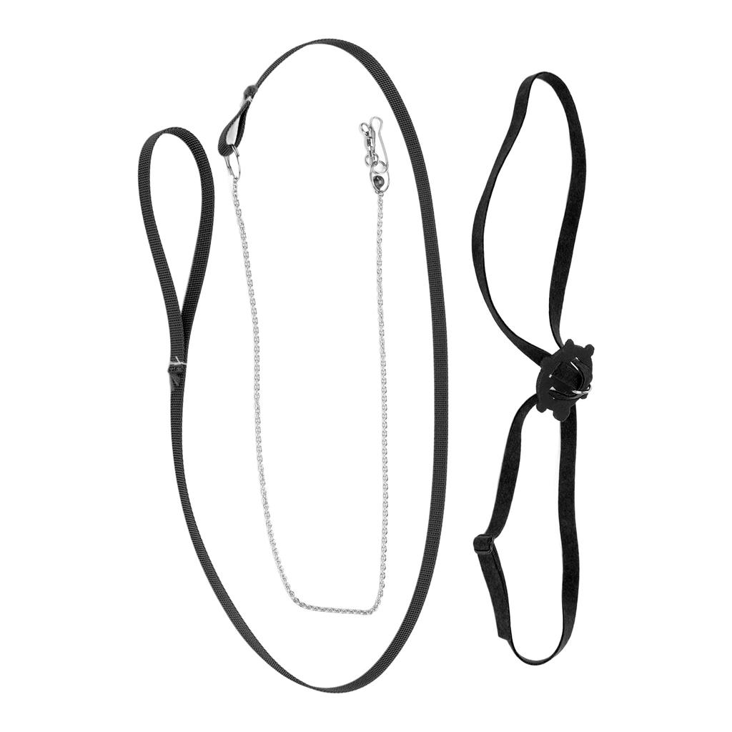 Turtle Harness Leash Adjustable Skin Friendly Pet Harness Reptile Leash for Outdoor