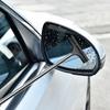 Stainless Steel Telescopic Car Rearview Mirror & Glass Squeegee Tool