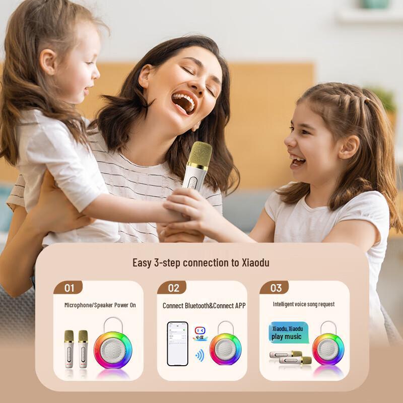 Newman MC76 Wireless Home KTV Audio System