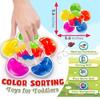 Montessori Five Color Recognition Squeeze Toy Sorting Sensory Balls For Kids Fine Motor Skills Development Toys Games Party Gift