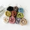 New Lace Cloud Patterned Scarf Simulation Silk Scarf Women'S Style Simple Style Solid Color Thin Small Long Scarf Scarf