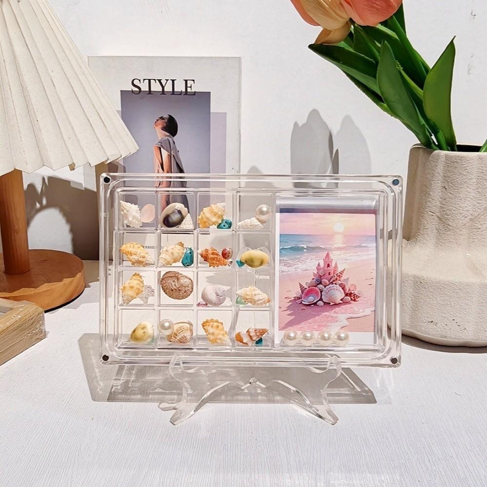 17-Grid Seashell Display Box Acrylic Durable Storage Display Organizer Box With Photo Frame Starfishs Trinket Storage Case