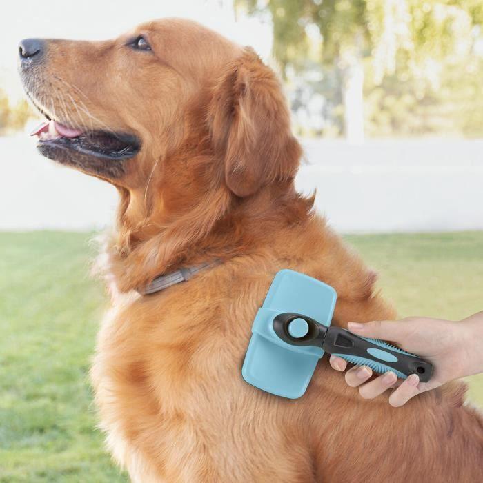 

Pet Brush - INNOVAGOODS - Groombot - Retractable Teeth - Cleaning &; massage - Ergonomic handle