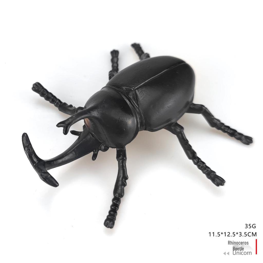 Children's Cognitive Teaching Toys: Insect Models - Butterfly, Ladybug, Rhinoceros Beetle, Bee, Grasshopper