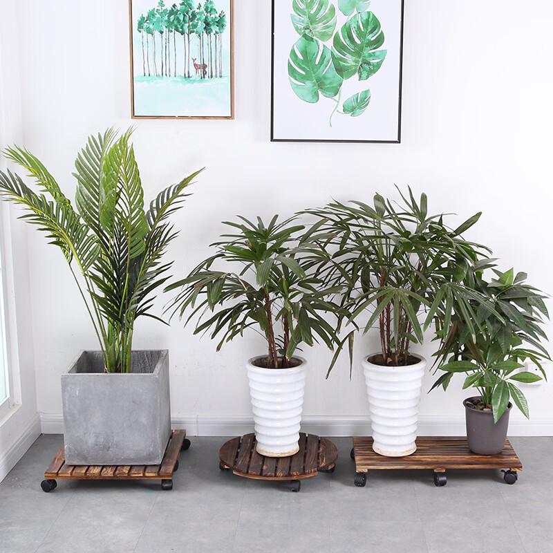 Anti-corrosion Wood Rectangular Plant Caddy