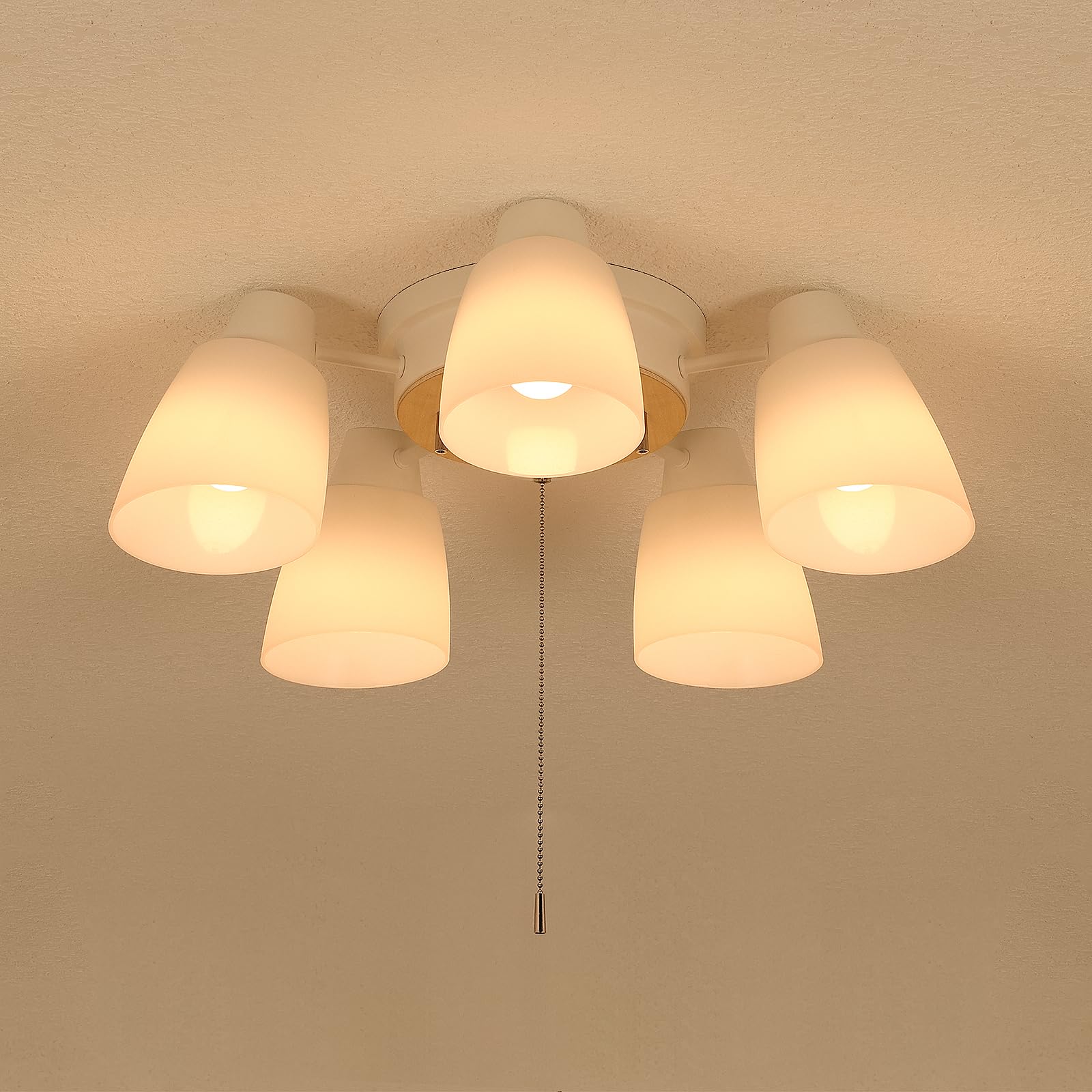 

Stylish 5-Light Ceiling Light, Chandelier Pendant Light, Nordic Style, LED Ceiling Light, E26 Type, Suitable for Rooms up to 6, 8, or 12 Tatami Mats,
