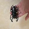 Biographical Analysis of Deer Antler Beetle and Claw Shaped Insect Beetle Gacha Simulation Animal Movable Joints Figure Toys