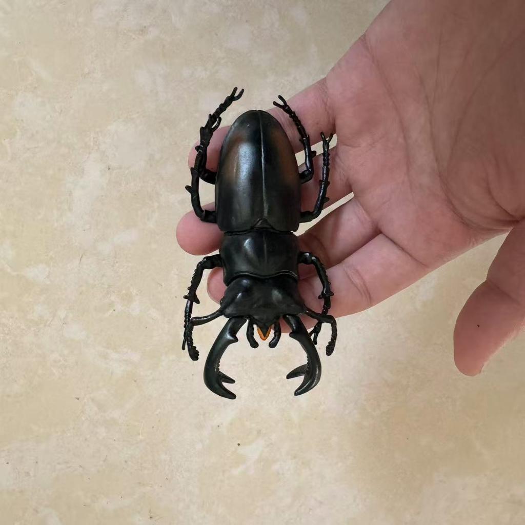 Biographical Analysis of Deer Antler Beetle and Claw Shaped Insect Beetle Gacha Simulation Animal Movable Joints Figure Toys