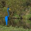Gartendekoration Bunter Wirbelvogel Bewegt sich mit dem Wind Flamingo Außenhof