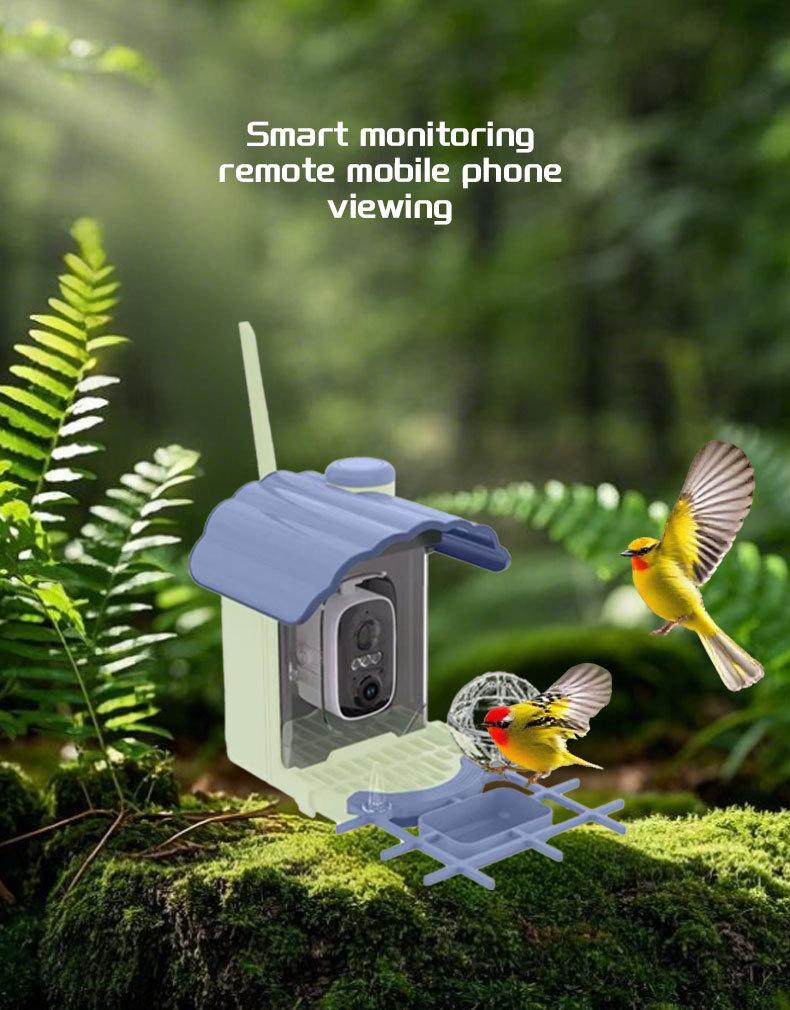 Smart Solar Bird Feeder Camera with Custom Hummingbird Feeder