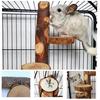 Chinchilla Stand Bewegung Training Spielplatz Naturholz Kleintier Kletterplattform Haustierbedarf