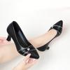 2025 New Women's High Heels Women's Shoes Korean Version Pointed Toe Shallow Mouth Women's Stiletto Shoes
