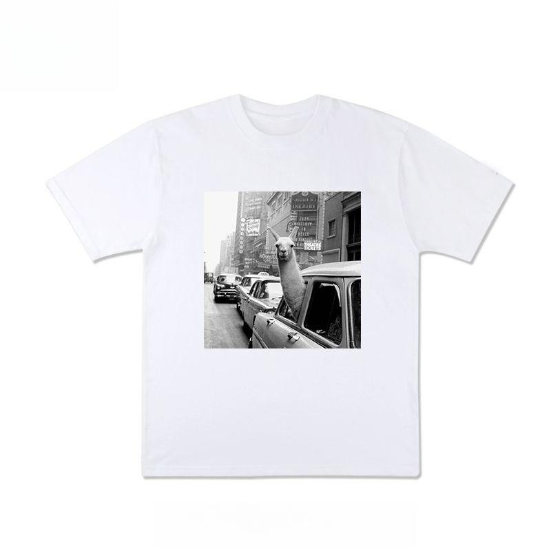 

Autumn European and American Heavy Pure Cotton Spoof Style Printed T-shirt 2025 New Men s Women s Comfortable Versatile T-shirt S