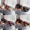 Fashion Unisex Square Frame Sunglasses With Protection For Travel And Parties
