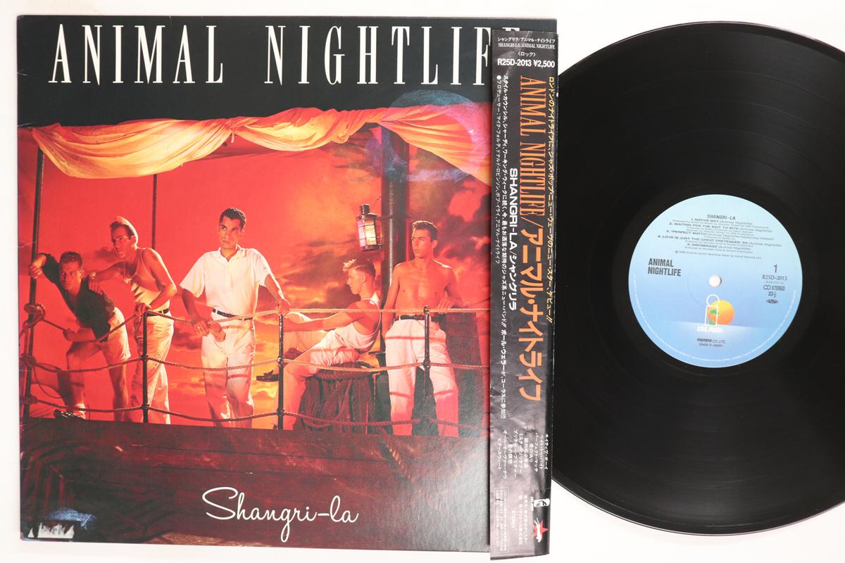 

LP Record ANIMAL NIGHTLIFE Shangrila R25D2013 ISLAND 1985 Japan Rock Used