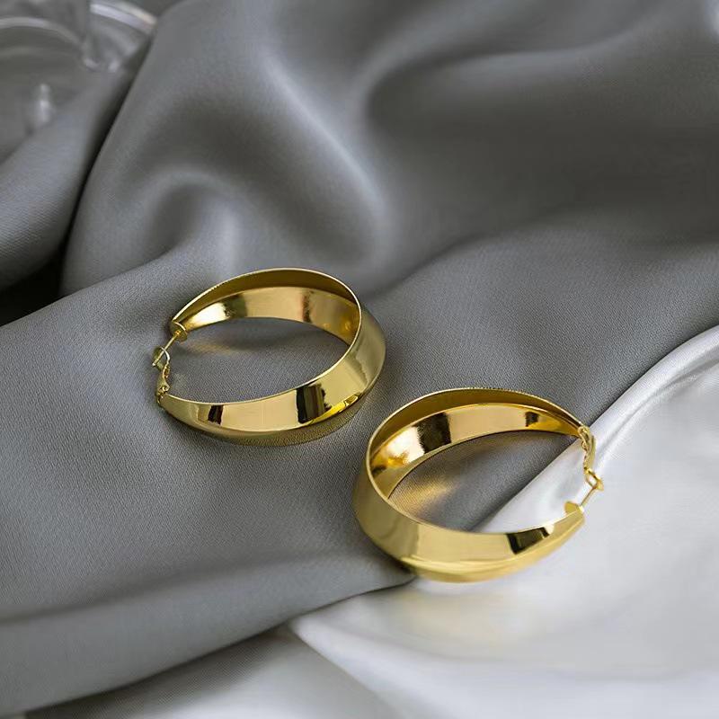 Geometric Circle Alloy Hoop Earrings - Smooth Metal Studs, Large Personality Style