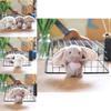 Super Soft Stuffed Bunny Keychain Adorable Plush Bag Charm Animal Toy