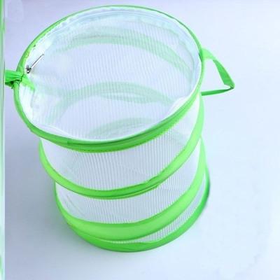Insect Catching Tool Insect Net Feeding Cage Super Immortal Outdoor Children'S Insect Observation Box Butterfly Pupa Student