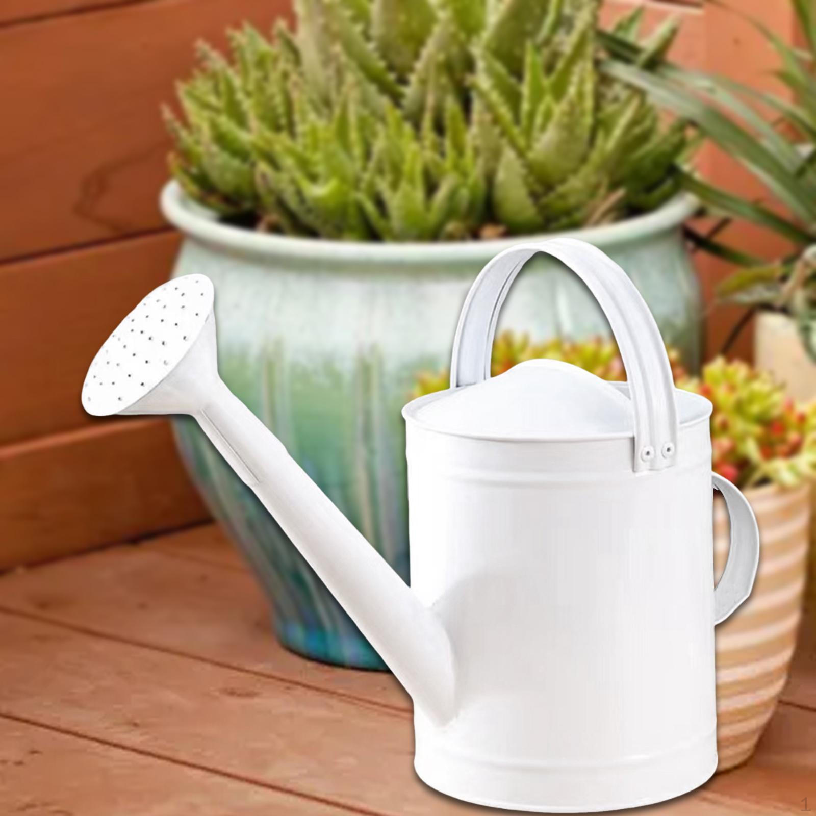 

4 л Железная лейка, Герметичная и Не ржавеющая, Садовый инструмент для цветов, Для использования в помещении и на улице. белый